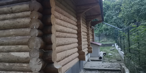 Photo from customer review